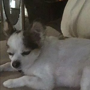 Meet your Posher, Robert